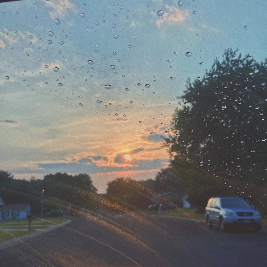 Never Made the Summer